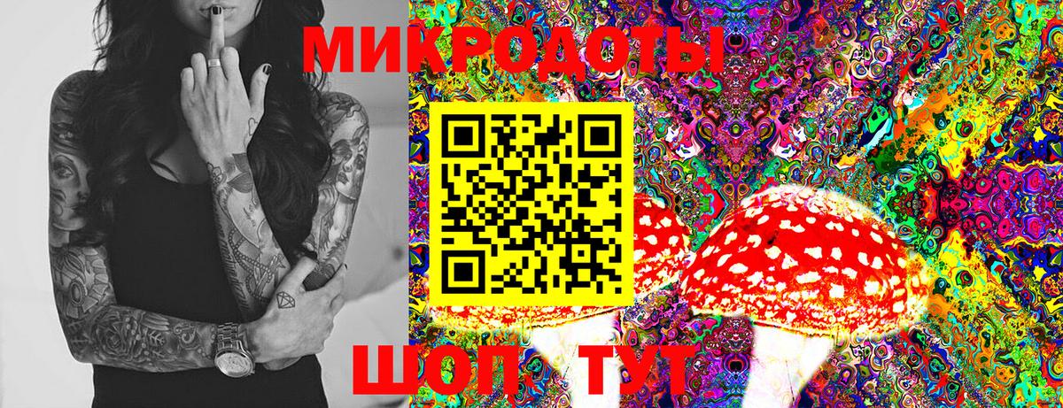 Псилоцибиновые грибы Cubensis Ревда